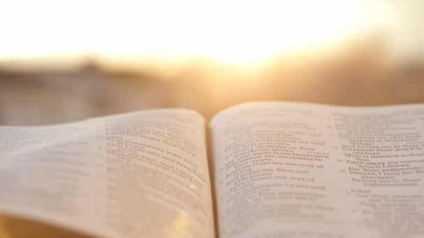 Open Bible