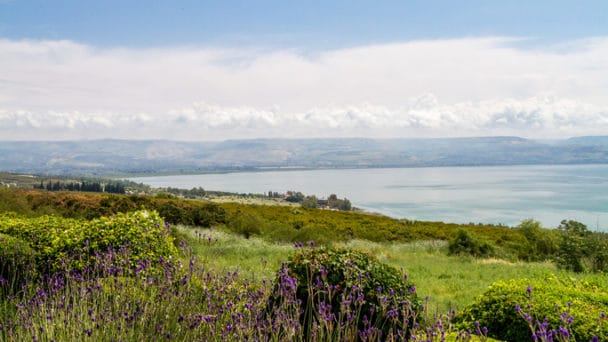 Panoramic view of the sea of Galilee from the Mount of Beatitude